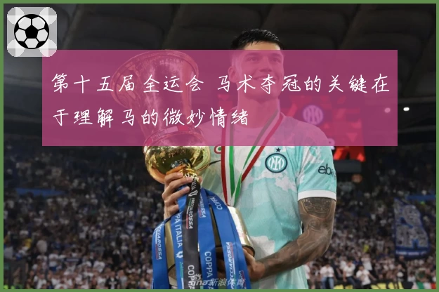 第十五届全运会 马术夺冠的关键在于理解马的微妙情绪