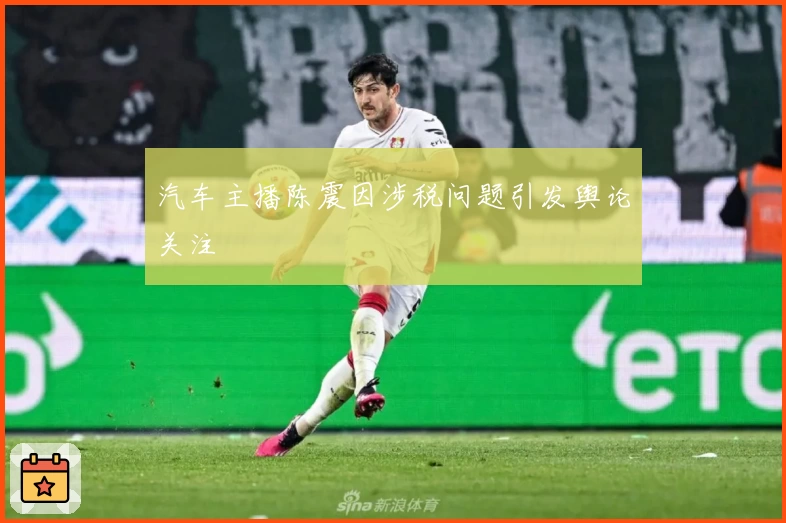 汽车主播陈震因涉税问题引发舆论关注