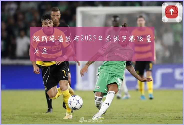 维斯塔潘发布2025年圣保罗赛限量头盔