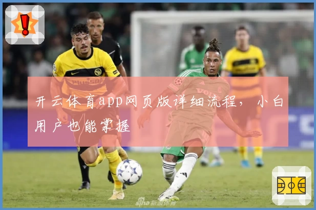 开云体育app网页版详细流程，小白用户也能掌握