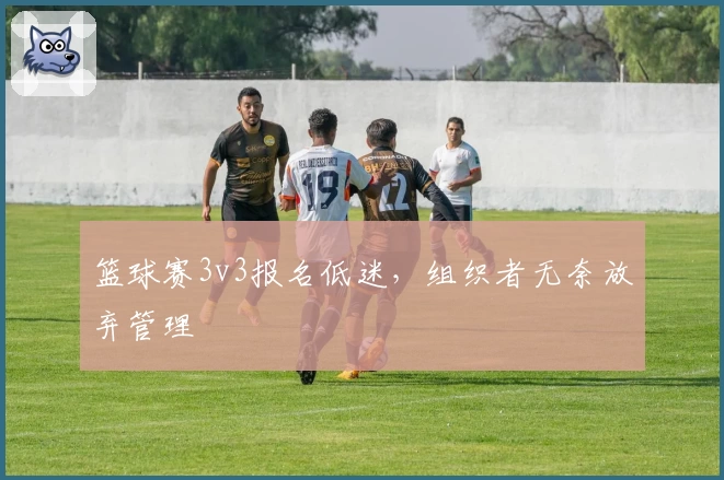 篮球赛3v3报名低迷，组织者无奈放弃管理